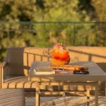 Altana Corfu Villa *
