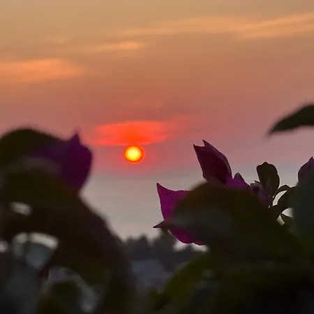 Altana Corfu *